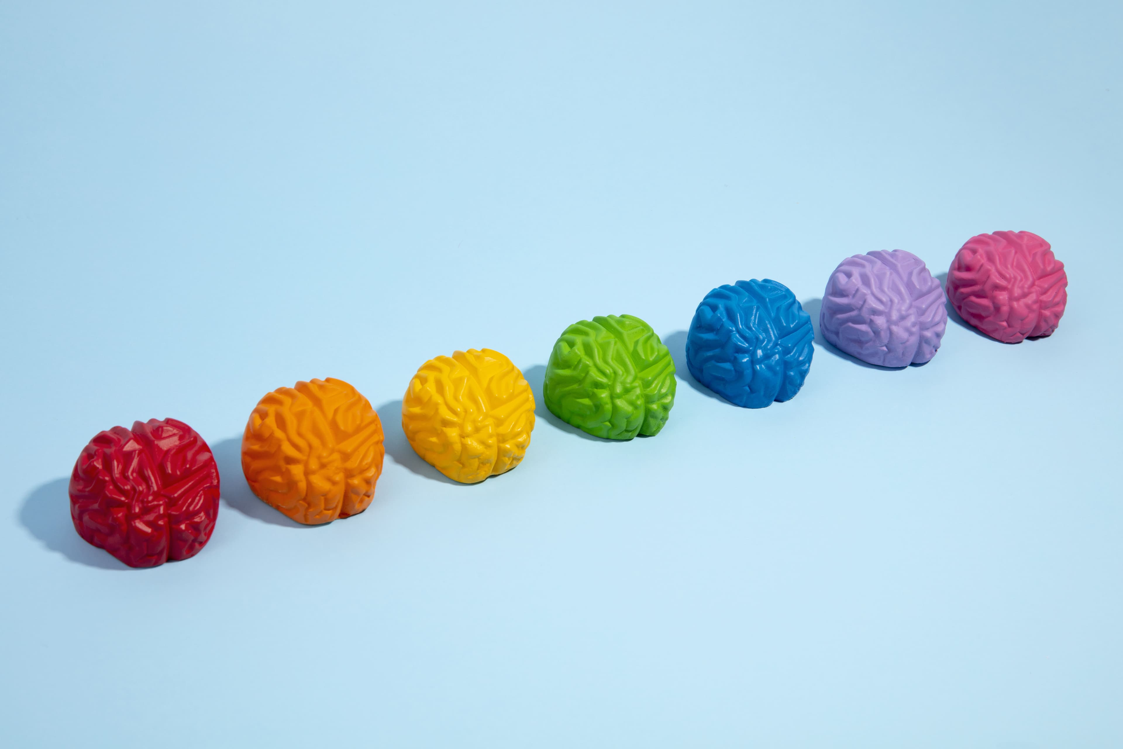 Still Life With Human Brain showing color physchology